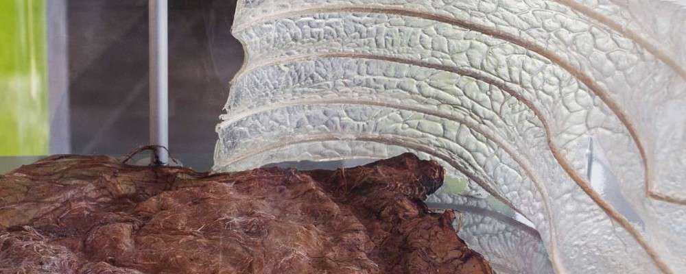 #Gelderland geeft goede voorbeeld: De provincie is koploper van Nederlandse #biobased economy! buff.ly/2u9C9nW