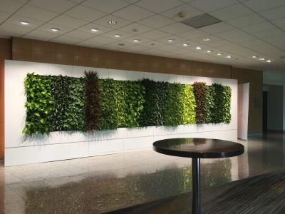 Sagegreenlife was featured on Hotel Business Design ( @hbdchristina ). Take a look!   buff.ly/2tGJw2D