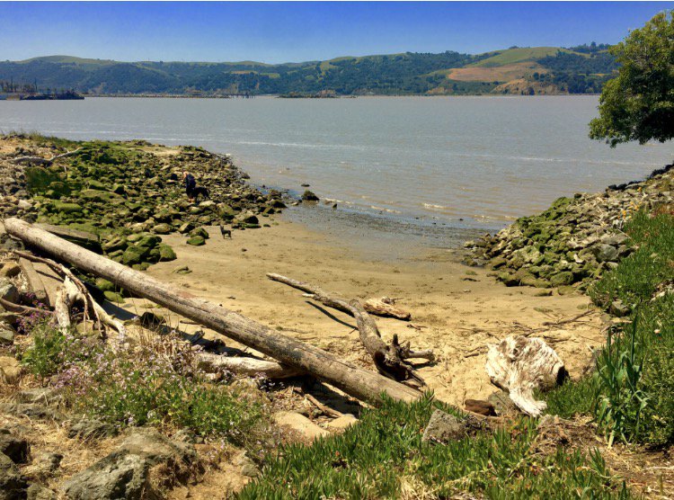 Yoga HouseBenicia (yogahouseco) Twitter