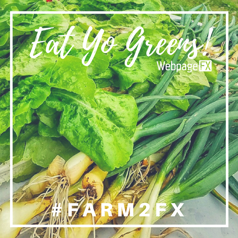 HappinessFX's tweet photo. Happy 'We Love #Farm2FX Wednesday'! What goodies will we find in this week's harvest from Brew Barn Farms?? https://t.co/VNCKWSSjLn