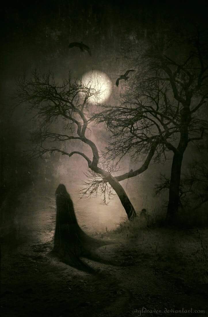 petswithpizzazz's tweet photo. She used to tell me that a full moon was when mysterious things happen and wishes come true.
🌚Shannon A. Thompson https://t.co/W4xsCjlGrA