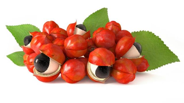 Mini_weight's tweet photo. Le guarana fait-il mincir ? - https://t.co/EFNiRGadF0 https://t.co/cHjva8ArVv