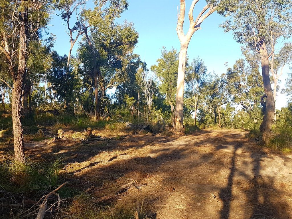 FORCOMDAusArmy's tweet photo. Danger ahead: #1Brigade (adversary) elements ready for action as #3Brigade prepares to make its move #RoadtoReady @AustralianArmy #HamelLife https://t.co/puDxM7S5S9