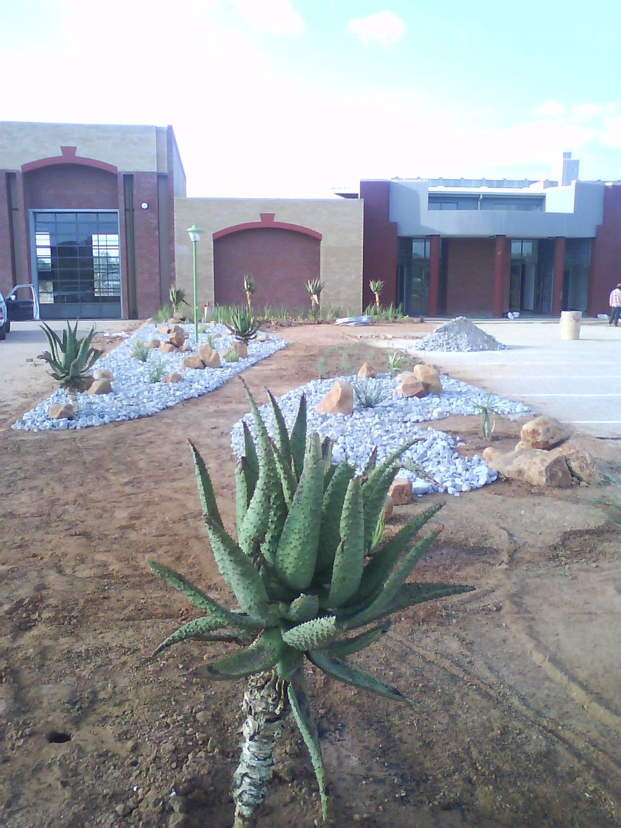 MochekuL's tweet photo. Some work we did in Nylstroom #MochekuLandscaping #BlackOwnedBusiness https://t.co/5RzdFO6QvC