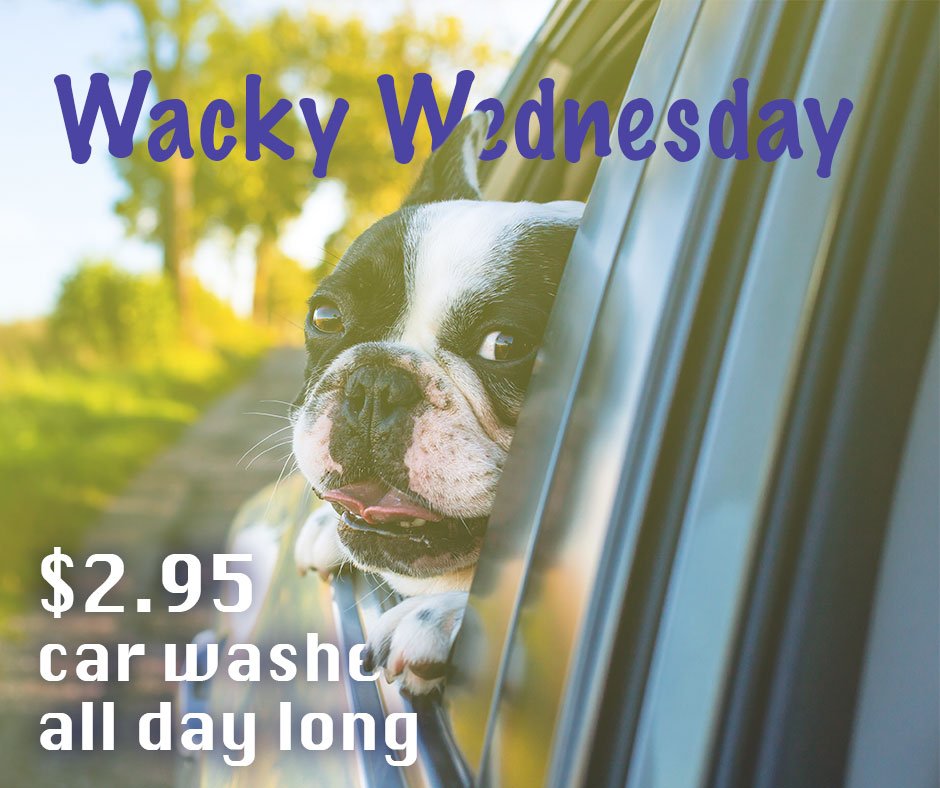 BebosExpress's tweet photo. Make no bones about it...car washes are $2.95 all day long! #WackyWendesday #BebosExpress https://t.co/O9Pnnjvg0p