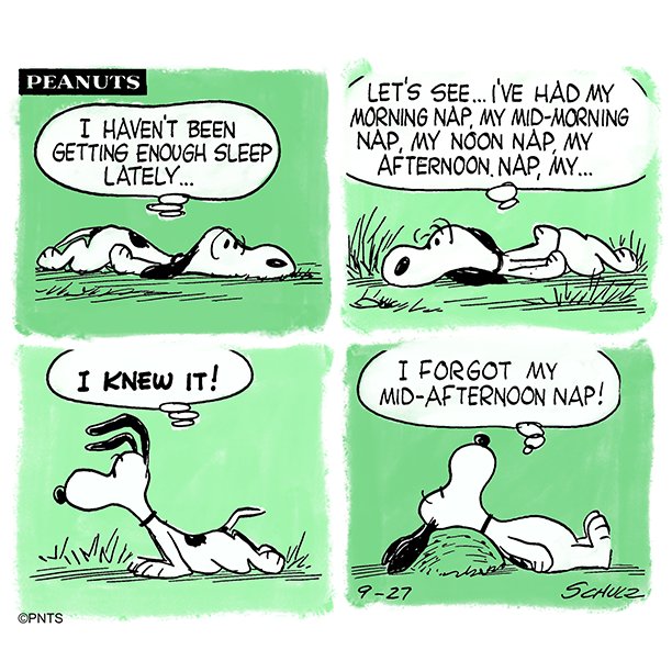 Snoopy's tweet photo. On the importance of naps 💤 https://t.co/thK1h5WJMl