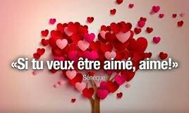 🌿🌿🌿🌿🌿🌿🌿🌿🌿🌿🌿🌿🌿🌿🌿