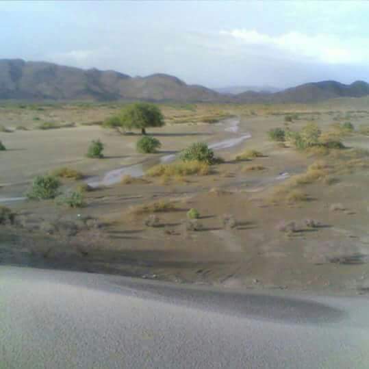 . (@alyamy71) on Twitter photo 