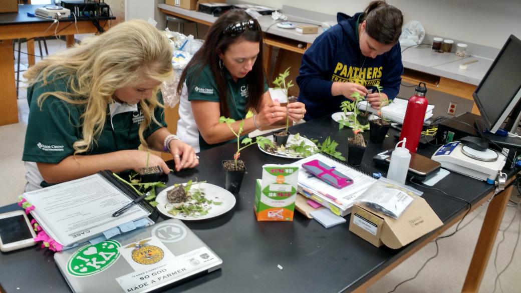 JustonLamb's tweet photo. Grafting tomatoes in ASP. #girlpower #growwithasp #atucase2017 #pioneergives @drrbowen @LucasDMaxwell @case4learning @FarmCreditWEAR https://t.co/NUKW3SKRNL
