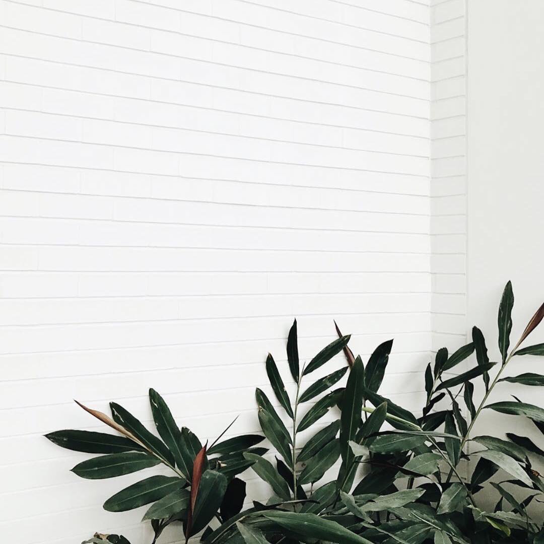 Decorate this space or not?
@bowerbirdinteriors

👉🏽 chinteriors.com.au

#interiordesign #interior #home #styletip #Australia #Sydney