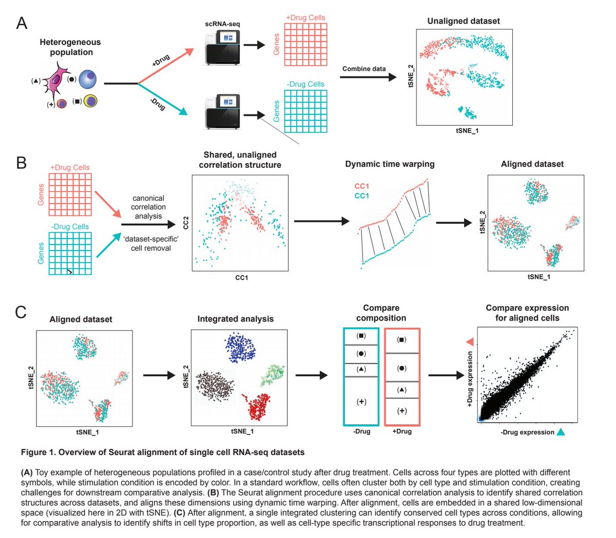 strnr's tweet photo. Integrated analysis of single cell transcriptomic data across conditions, technologies, and species https://t.co/ITBY8c6yHj https://t.co/7J1zWe3Lf3