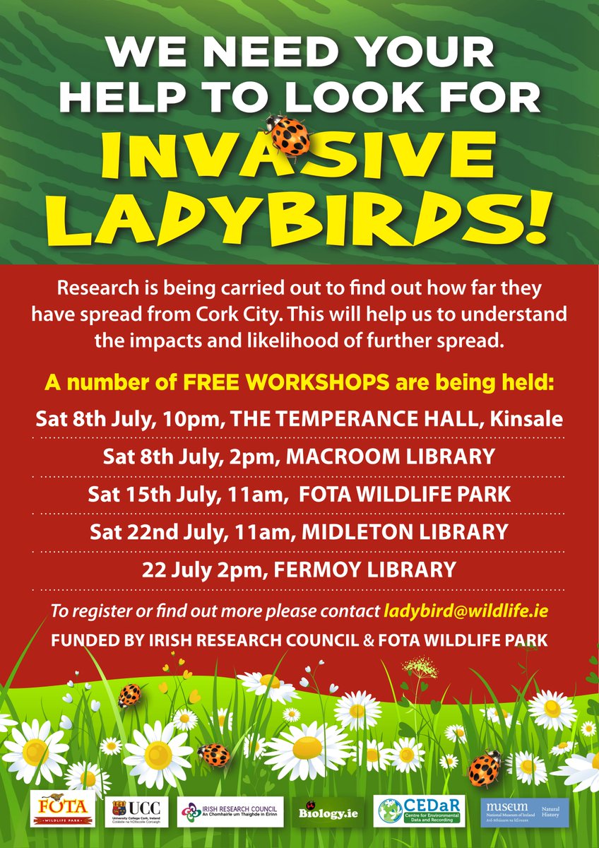 gill weyman tweet media