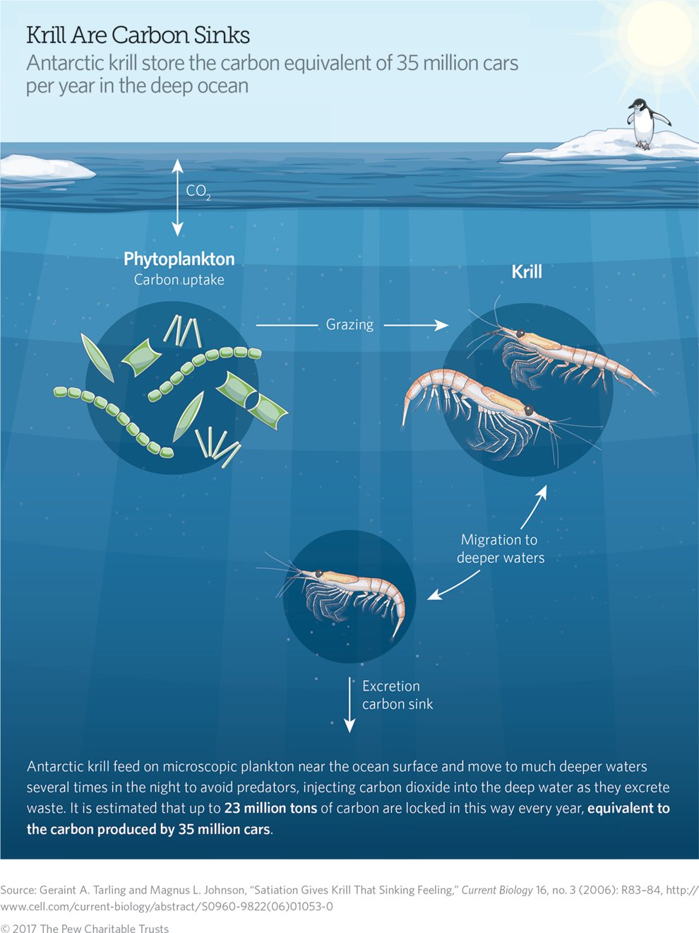 Pew Eu On Twitter Marinereserves Can Protect Important