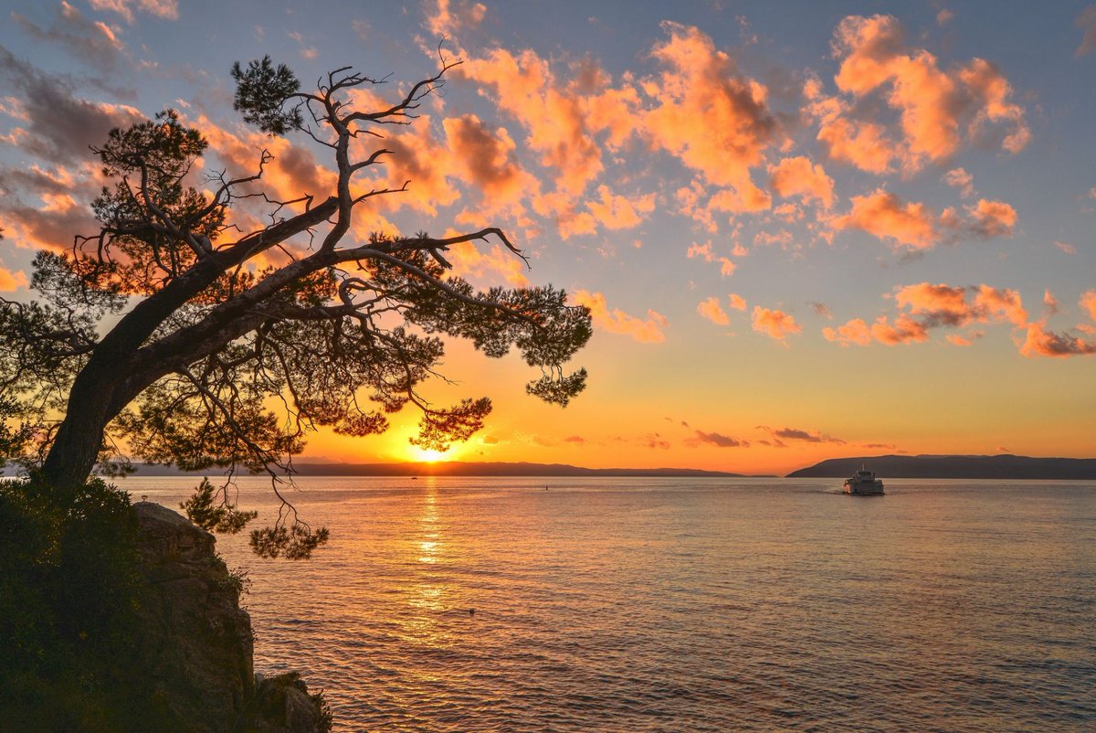 MedoraHotels's tweet image. Can't describe #summer feeling better than this 💕 #Podgora #NoStressZone #SummerFeelings #BestVacation #MedoraAuri 😎👉podgora.holiday