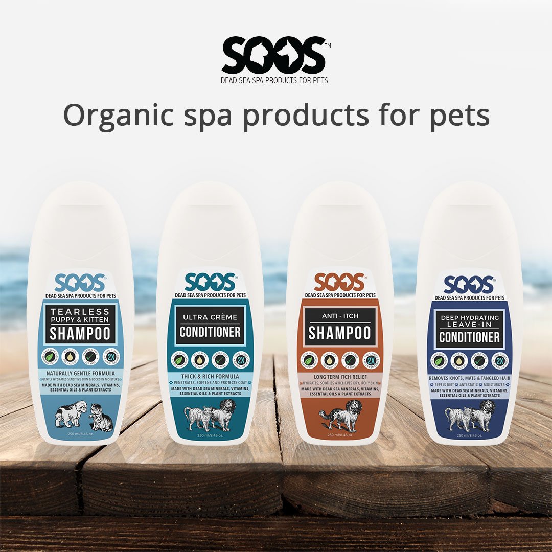 SoosPets's tweet photo. Looking for a solution for your pet's condition (such as dry skin, itching or chronic pain)? Then visit us https://t.co/1XxYyXhFjJ https://t.co/z2CpoZ84cU