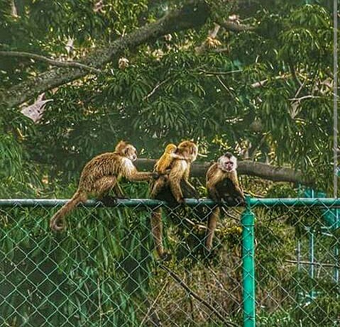 VeneturOrinoco's tweet photo. Esto es una muestra del #Ecosistema Natural que rodea a #VeneturOrinoco. ¡Buenos Días Venezuela! https://t.co/IljPLg2o5G
