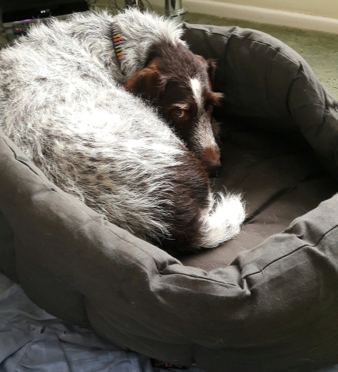 Mum can get lost if she thinks I'm going out in this weather! #RainyDay