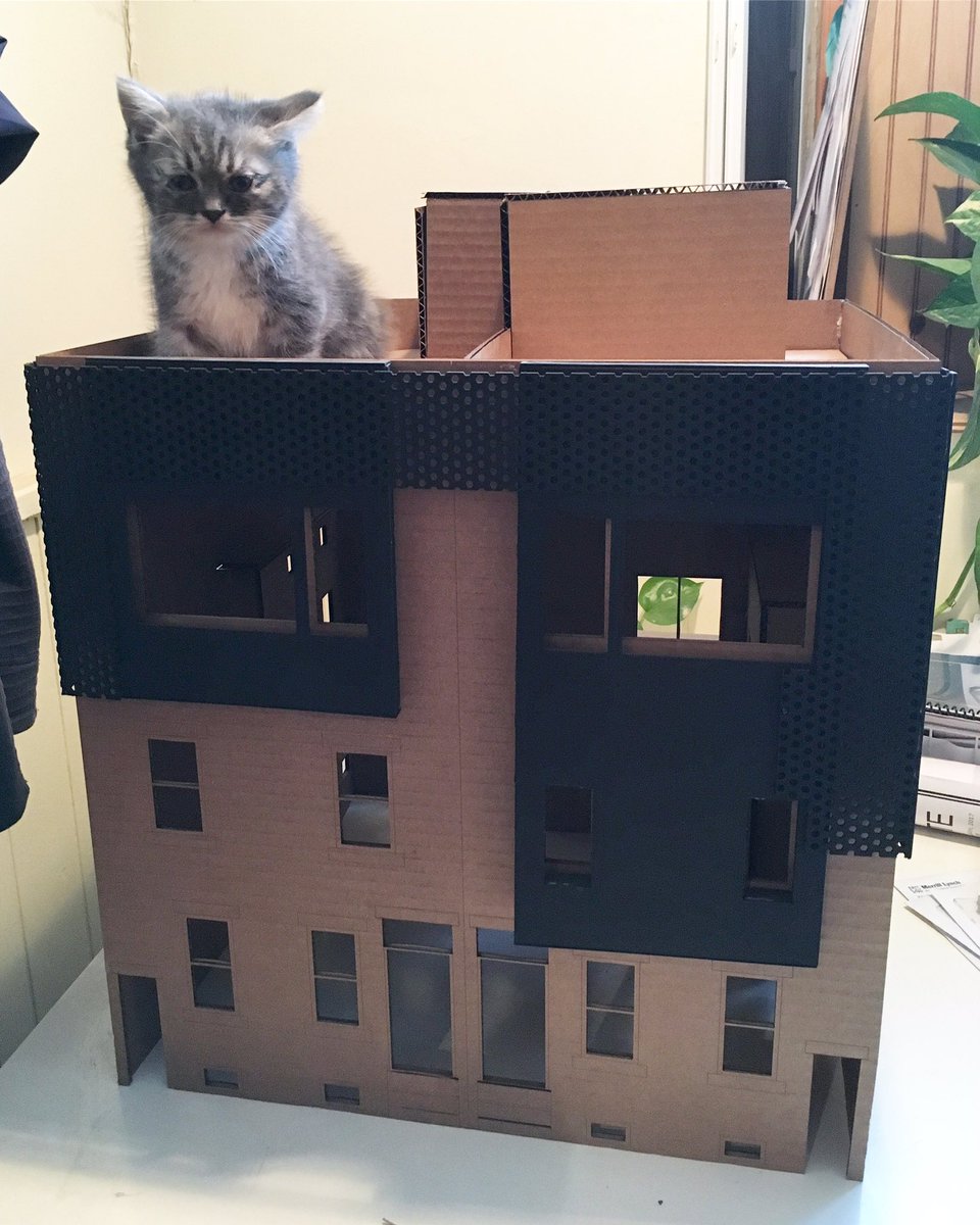 Evolve_Build's tweet image. Congrats to the newest resident of 1423 Emerick St! Sir Leopold is already enjoying the roof deck life🏡🐱 #EvolveBuild #Kitten #Philadelphia