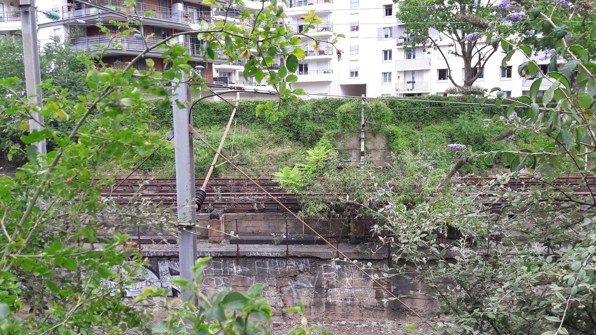 APIGAZ's tweet photo. #biodiversité #abeilles #ruche #SNCF 
La ruche Cityzen des APIgaziers n'a pas résisté au voisinage de voies SNCF à Bois-Colombes. Pourquoi ? https://t.co/TqbpoB2zW9