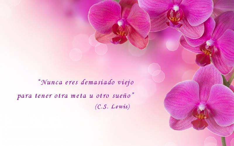 meridianito's tweet photo. #FelizMiércoles #Meridiamiguitos https://t.co/nNXMiByxEA