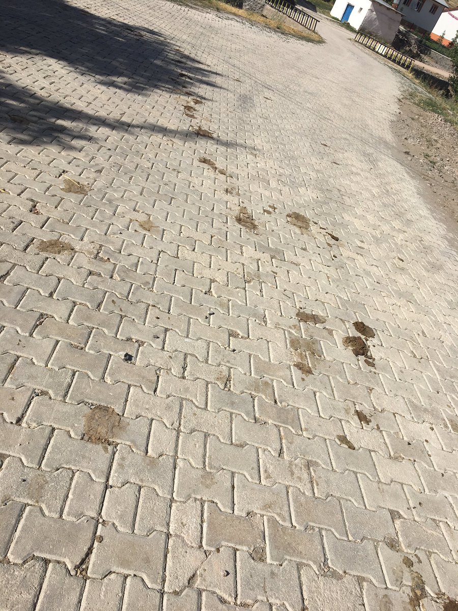 424irem's tweet photo. Buradan geçmişsin belli... https://t.co/GJGiBntcFi