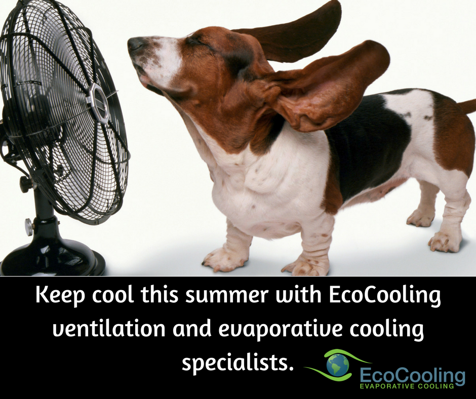 Don't forget we can help you combat scorching temperatures in a very cost effective way. Contact us today for more info. #cooling #keepcool