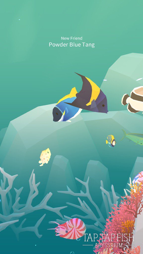 AIsystem2015's tweet image. My Powder Blue Tang:) 
#taptapfish
Download: onelink.to/jhe4sh