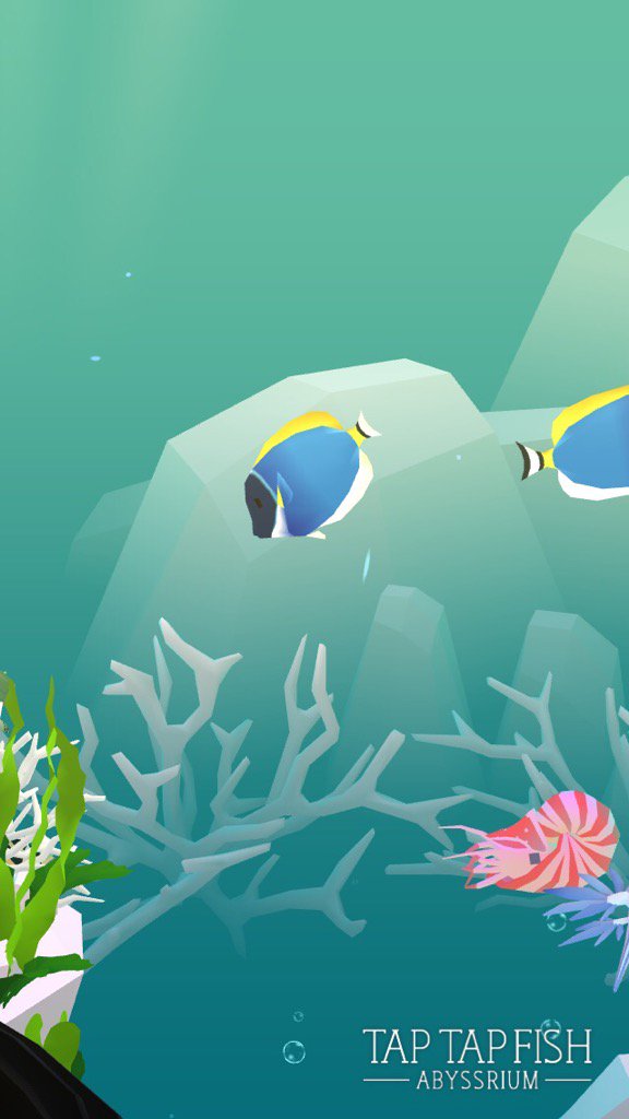 AIsystem2015's tweet image. My Powder Blue Tang:) 
#taptapfish
Download: onelink.to/jhe4sh