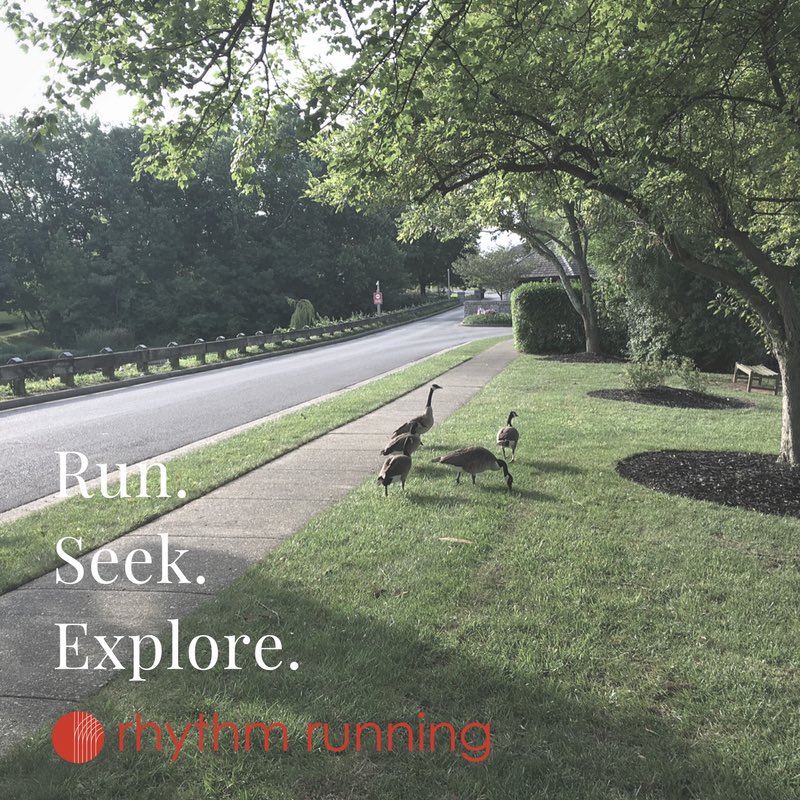 rhythmrunnash's tweet photo. Beauty can be found on a run.
#whatdoyourunfor #running #rhythmrunning #health #fitness #healthylifestyle #run #ItsYourRhythm #RunToIt https://t.co/dauKb9GPhU
