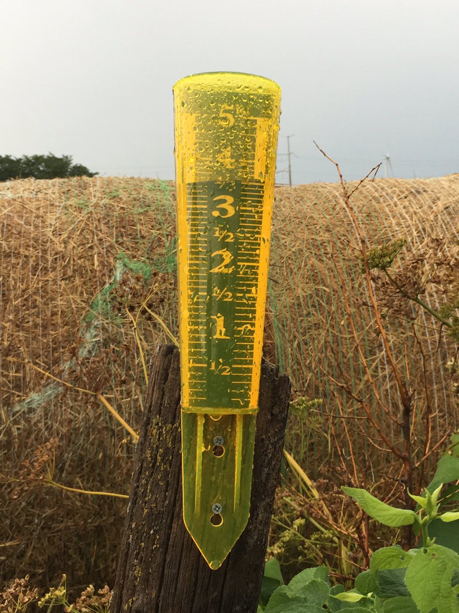 dannyoung85's tweet photo. 3.5" of rain as of 9:15 am just south of Union Star. @kq2 @mikebracciano https://t.co/BRz9rrLs4m
