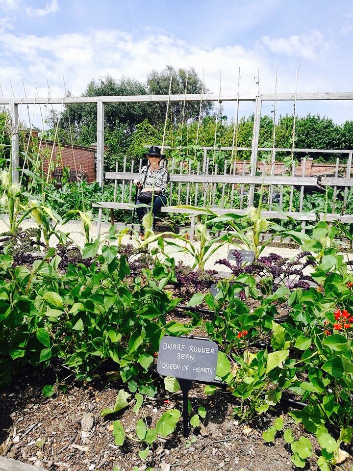 avrilappleyard's tweet image. @LernouxDock We popped into @chewtonglen yesterday #beautiful #fabvenue #@PopUpPictureCo #marketgarden #eventprofs #stunning