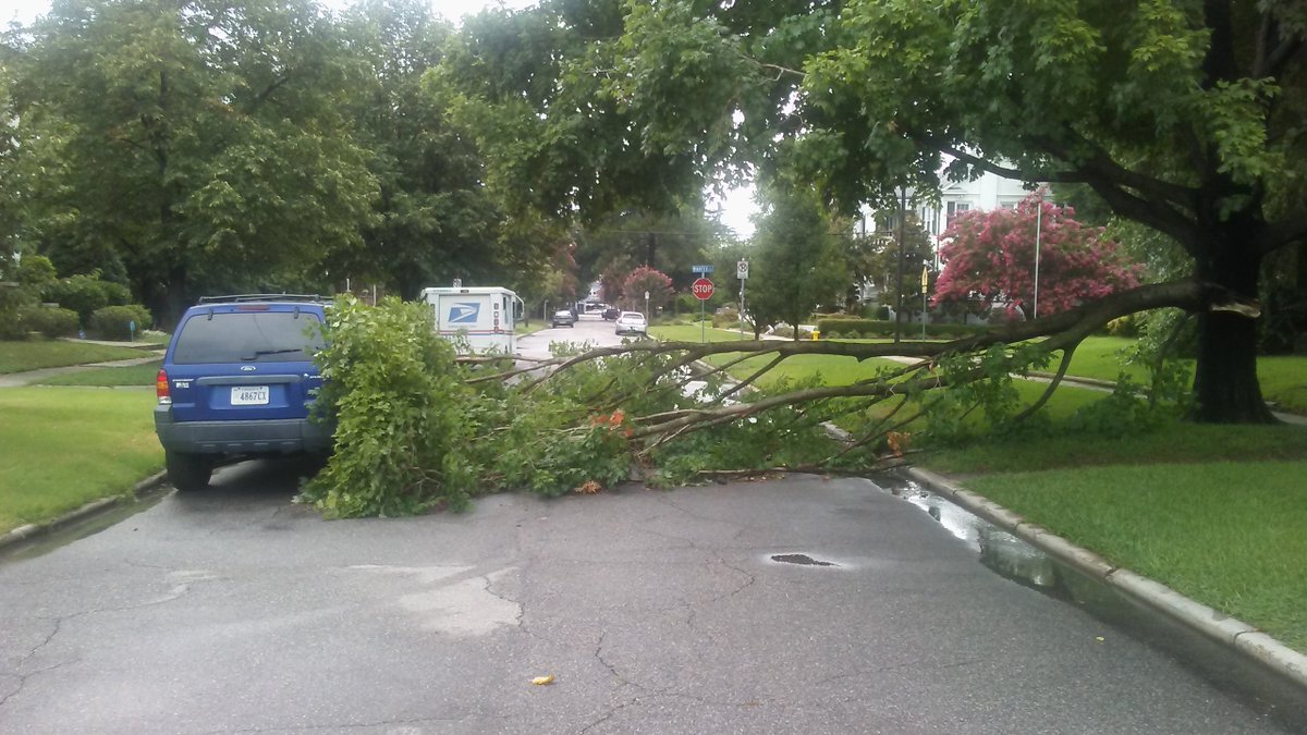 JohnPInc's tweet photo. #Photos from yesterday's sudden #thunderstorm. #Lightning struck a tree on #Shirley ave. City of Norfolk &amp; Fire Department responded. @WTKR3 https://t.co/hijsmzMqov