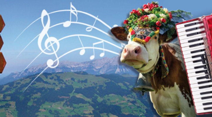 Deze reizen van reisorganisatie <a href="/Effewegnl/">Effeweg.nl Busreizen</a> klinken je als muziek in de oren! #muziekreis #oostenrijk #duitsland
reisgraag.nl/effeweg-nl/art…