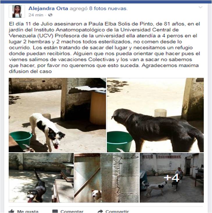 PerroUsuario Wof '•' tweet media