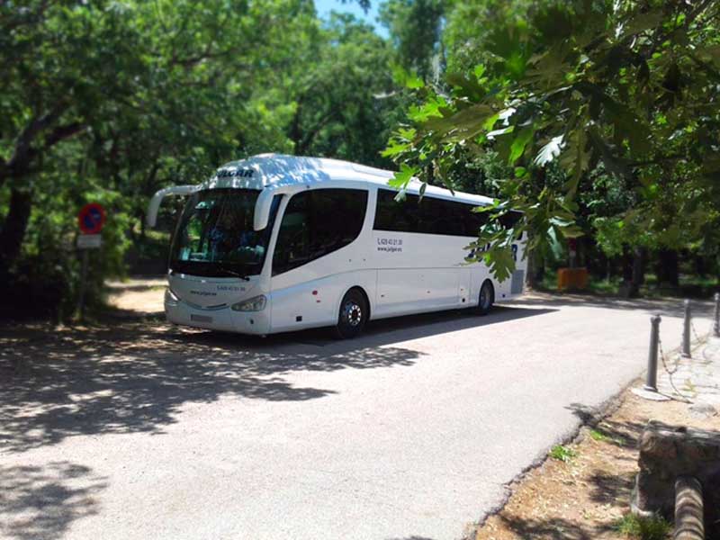 Julgar Bus tweet media