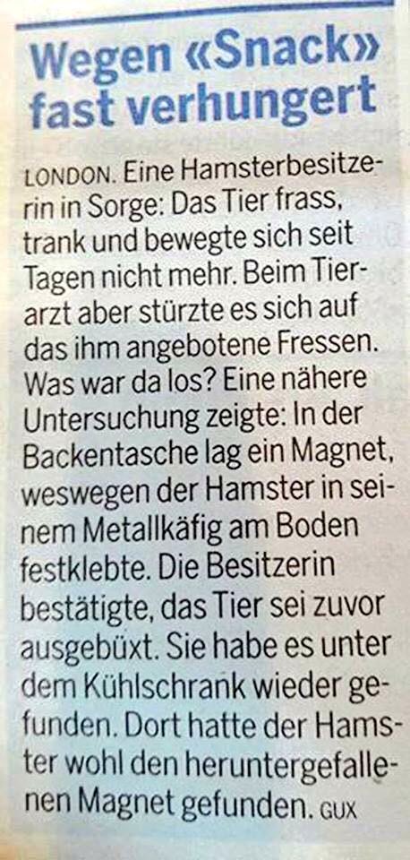 Nicht lachen! 
(via <a href="/das_kfmw/">kfmw.bsky.social</a>)