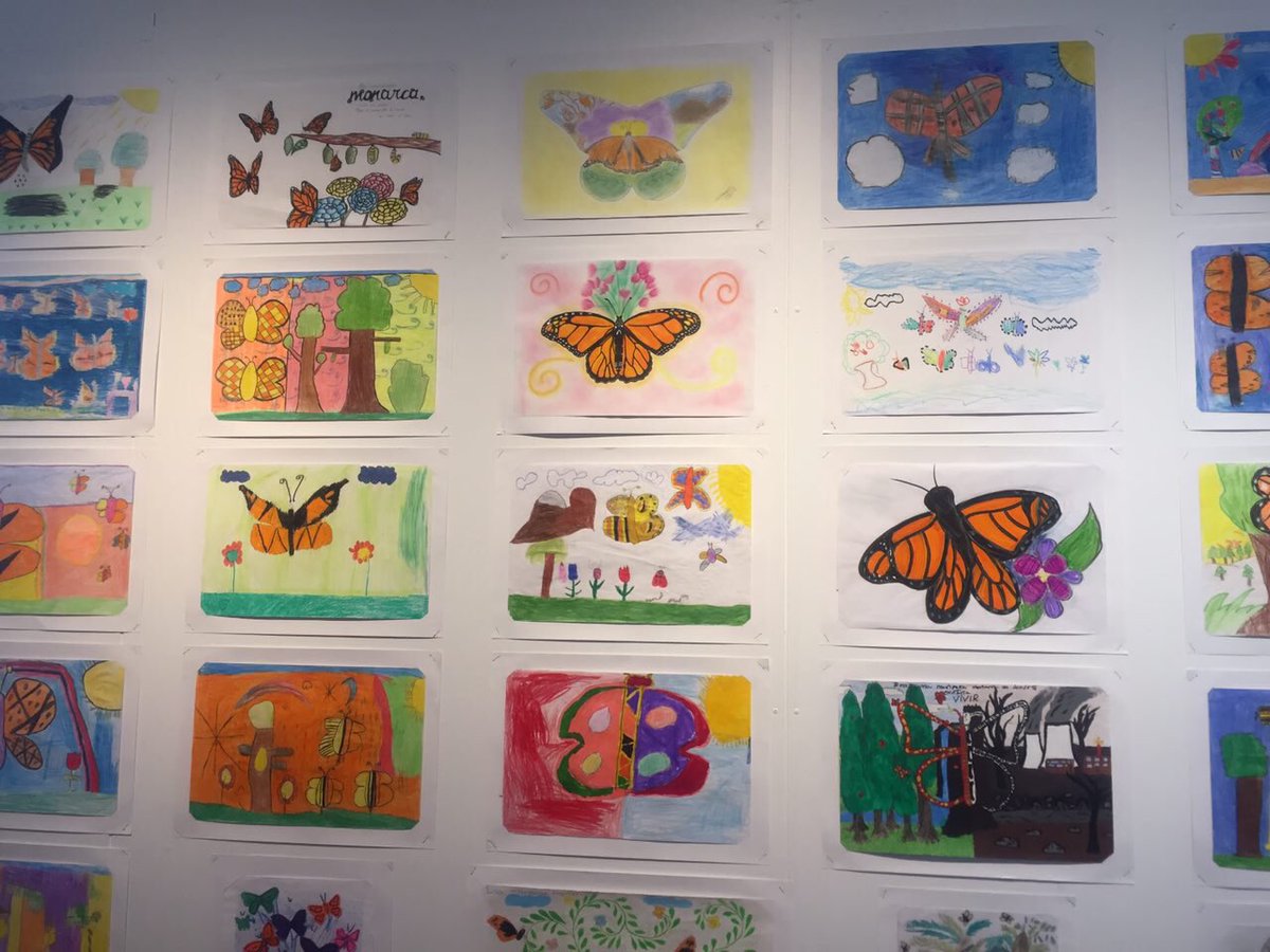 KarenQuirogaA's tweet photo. Los jóvenes tienes similitudes con la Mariposa Monarca: ambos son fuertes, hermos@s y libres. Tienen afinidades que los hace increíbles. https://t.co/YnkExURPvg