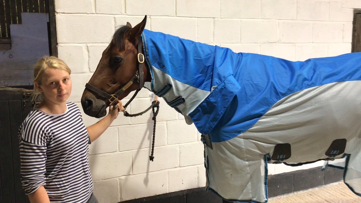 EquineHour's tweet photo. Check out the latest Tried &amp; Tested Review by @EmiliaBarry of the FALPRO Dryback Fly Rug! 

https://t.co/VDKwU5WJWH https://t.co/C7gUHlmHs7