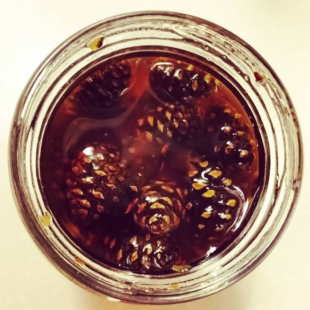 pTumaev's tweet photo. Да. Это варенье. ИЗ ШИШЕК

#pineconejam #siberia #typicalnsk https://t.co/4lIWoScs3E