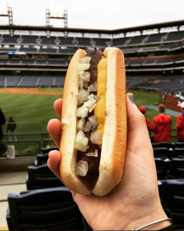 HatfieldMeats's tweet photo. Some of our favorite #dogVIEWS on behalf of #NationalHotDogDay! 🌭 https://t.co/knFoD1LIOi