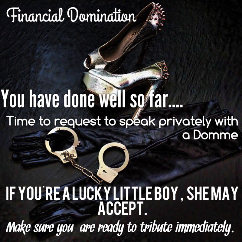 Financial Domination tweet media
