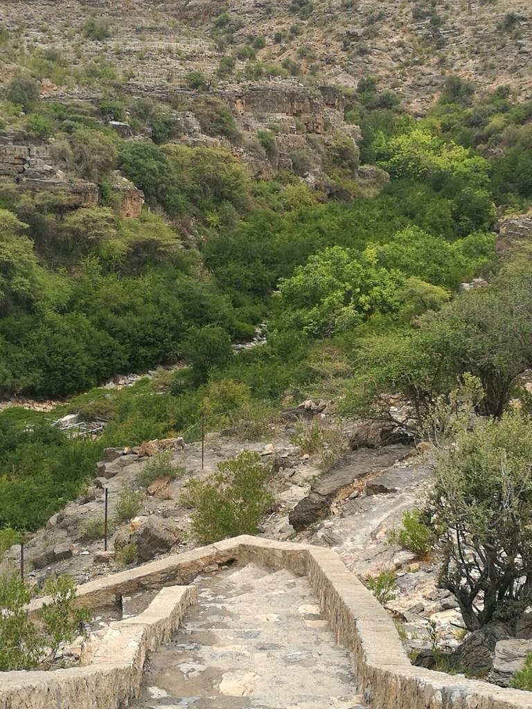 maharpi's tweet photo. ماشاءالله الجو برد فوق الجبل الأخضر والناس تسكن هناك بس انا كنت خايفه منو طريق 😉وف أشجار رمان 
😊وانتم شو رأيكم 💚😍 https://t.co/7iwqFH0xBW