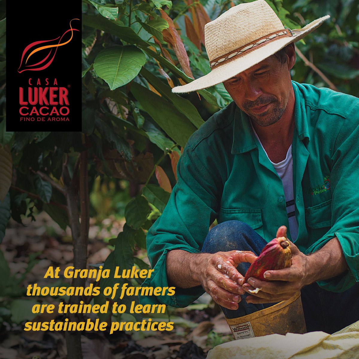 Luker Chocolate tweet media