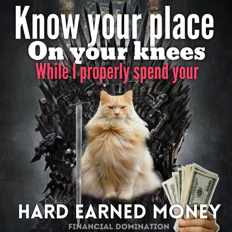 Financial Domination tweet media