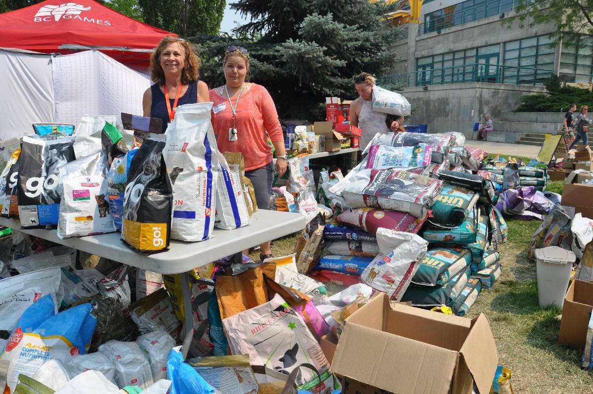 UNDER EVACUATION: Dogs and cats get love from volunteers in Kamloops dlvr.it/PWsqms #yyj https://t.co/j3CVii1Kjf