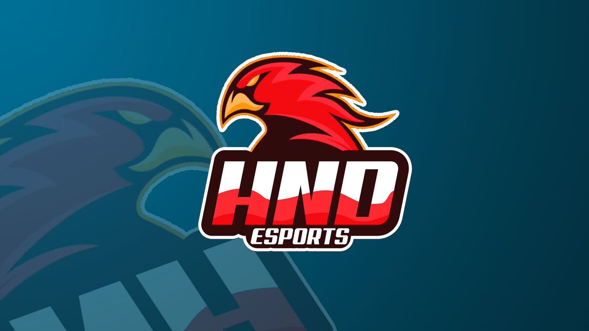 CreativDesign44's tweet photo. Aqui el primer diseño para un equipo competitivo de league of legends muchas gracias @HNDeSports por dejarnos formar parte del team @3sRuZz https://t.co/zseXicAyEK