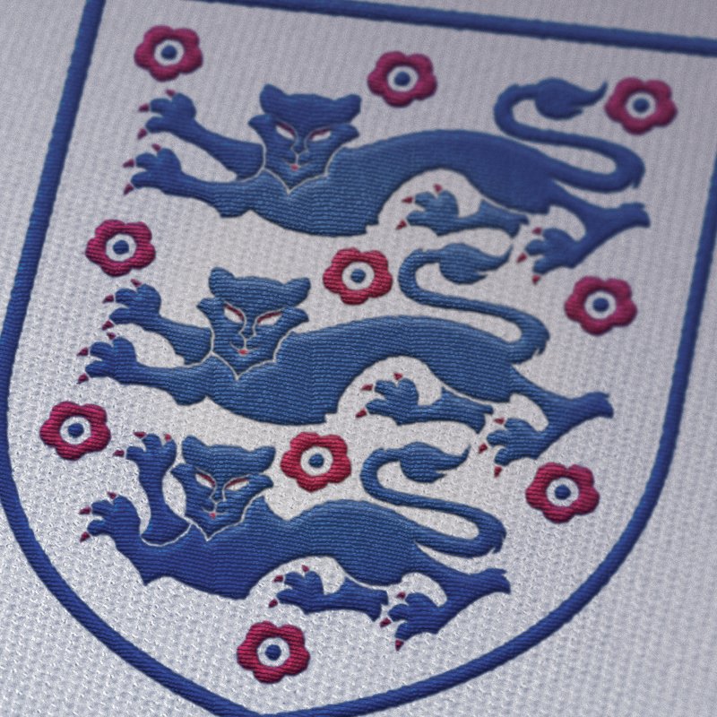 mattpascoedraws's tweet photo. Have been thinking it would be great for @England's @Lionesses to have their own crest? What do you think @FA? #Lionesses #ENGSCO @NikeUK https://t.co/c7tdb5rBfG