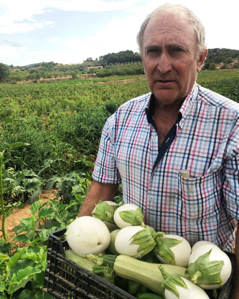CellerFrisach's tweet photo. Ja toquen els Withe hot chili Eggplant peppers!! #sumertime #terraaltarules #fetacasa #pornofood #orgasmic #winelovers https://t.co/jk5uHezpn6