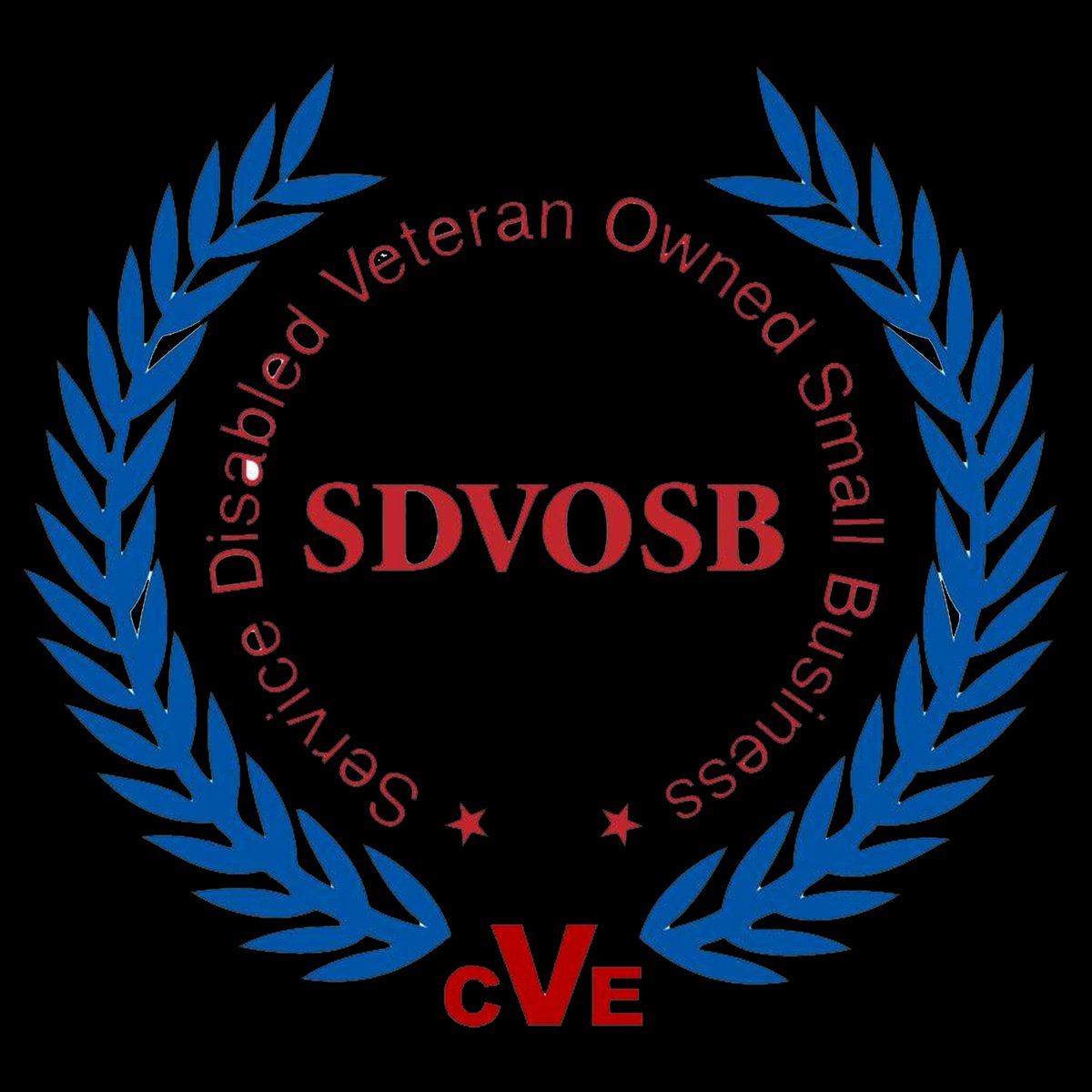 technicate's tweet photo. Have you heard the news, Technicate is now SDVOSB Certified! Retweet your support! #technicate #tecchnicaterocks #sdvosb #agiledevelopment https://t.co/GBqktnOQWF