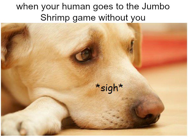 Furry friends are welcome at tonight's <a href="/JaxShrimp/">Jacksonville Jumbo Shrimp</a> game!